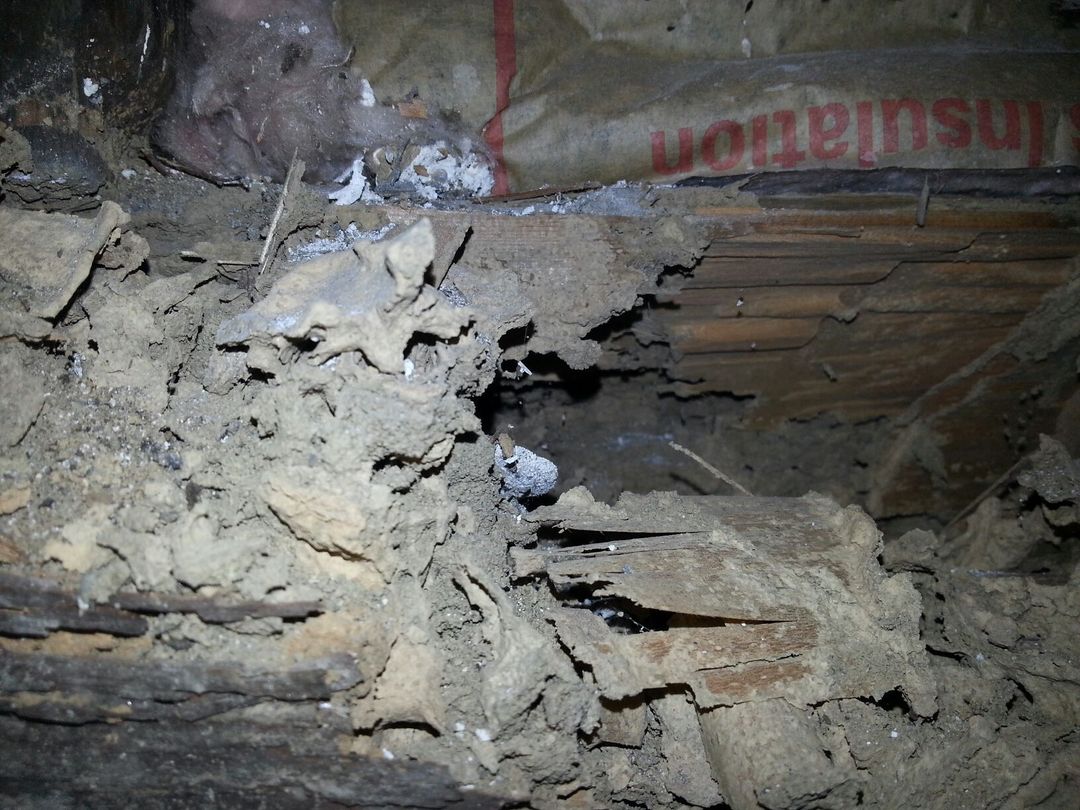 Extensive termite damage and mud tunneling in basement
