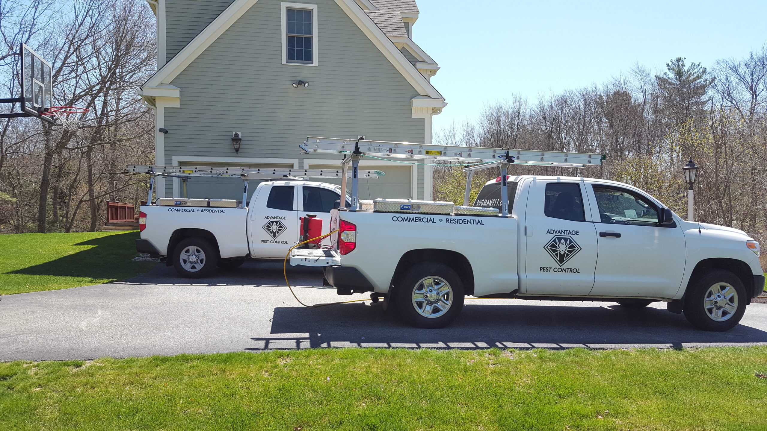 Mice, Ticks, Wasps and Ant removal in Andover, MA 