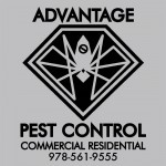 Advantage Pest Control in 239 Newburyport Turnpike #209 Topsfield, MA 01983 