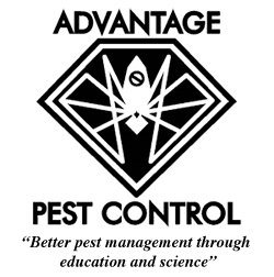 Advantage Pest Control, Inc.