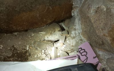 Rat burrows in a crawl space in Gloucester, MA 01930